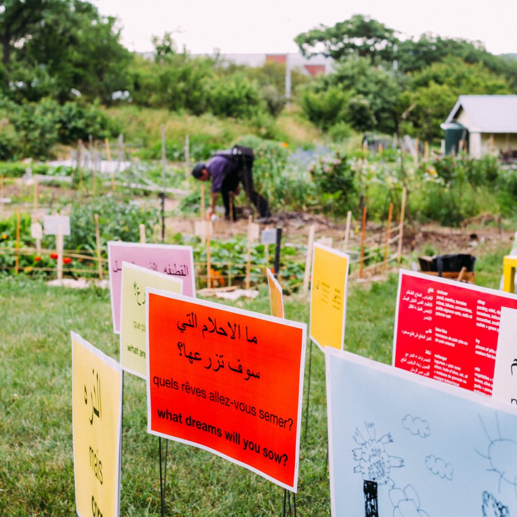 Now We Plant by Christina Bechstein